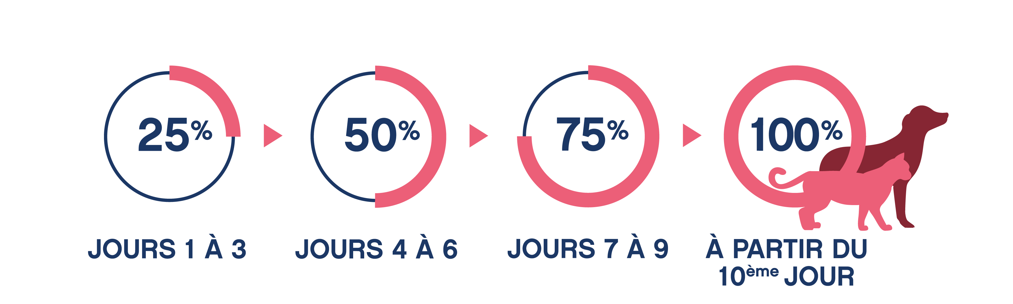 Transition alimentaire chien chat